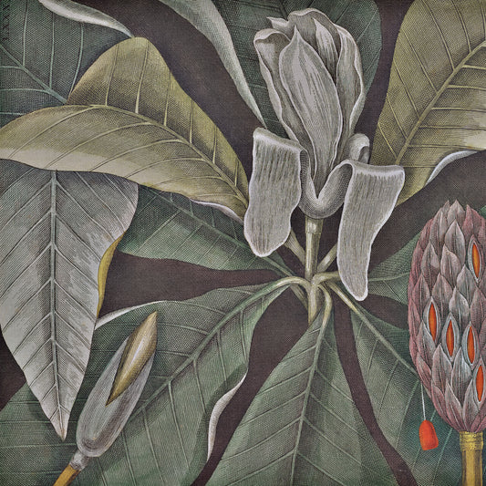 Fototapeta Okrągła Rycina Botaniczna W Stylu Vintage VI – wzór