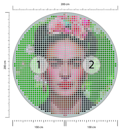Fototapeta Okrągła Ikona Frida średnica 200 cm – podgląd