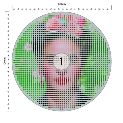 Fototapeta Okrągła Ikona Frida średnica 100 cm – podgląd