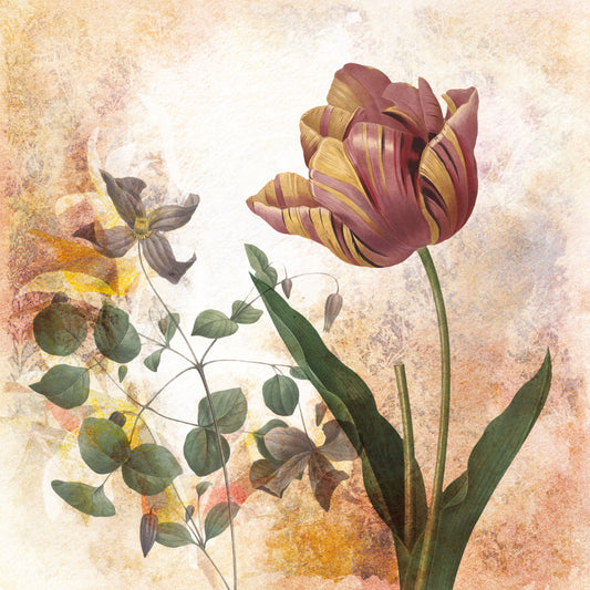 Fototapeta Okrągła Rycina Botaniczna W Stylu Vintage I – wzór
