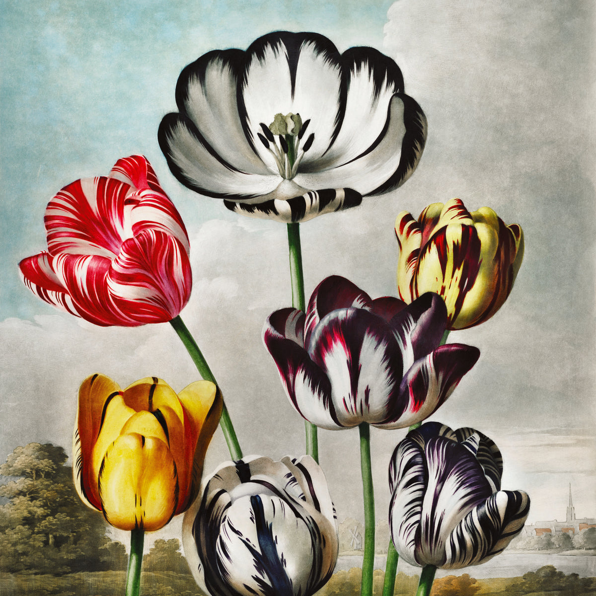Fototapeta Okrągła Tulipany – wzór