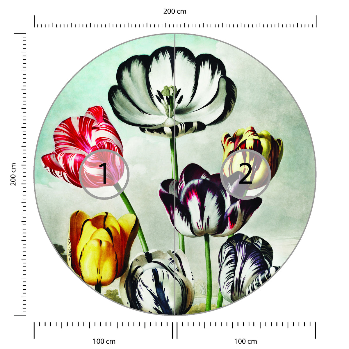 Fototapeta Okrągła Tulipany średnica 200 cm – podgląd