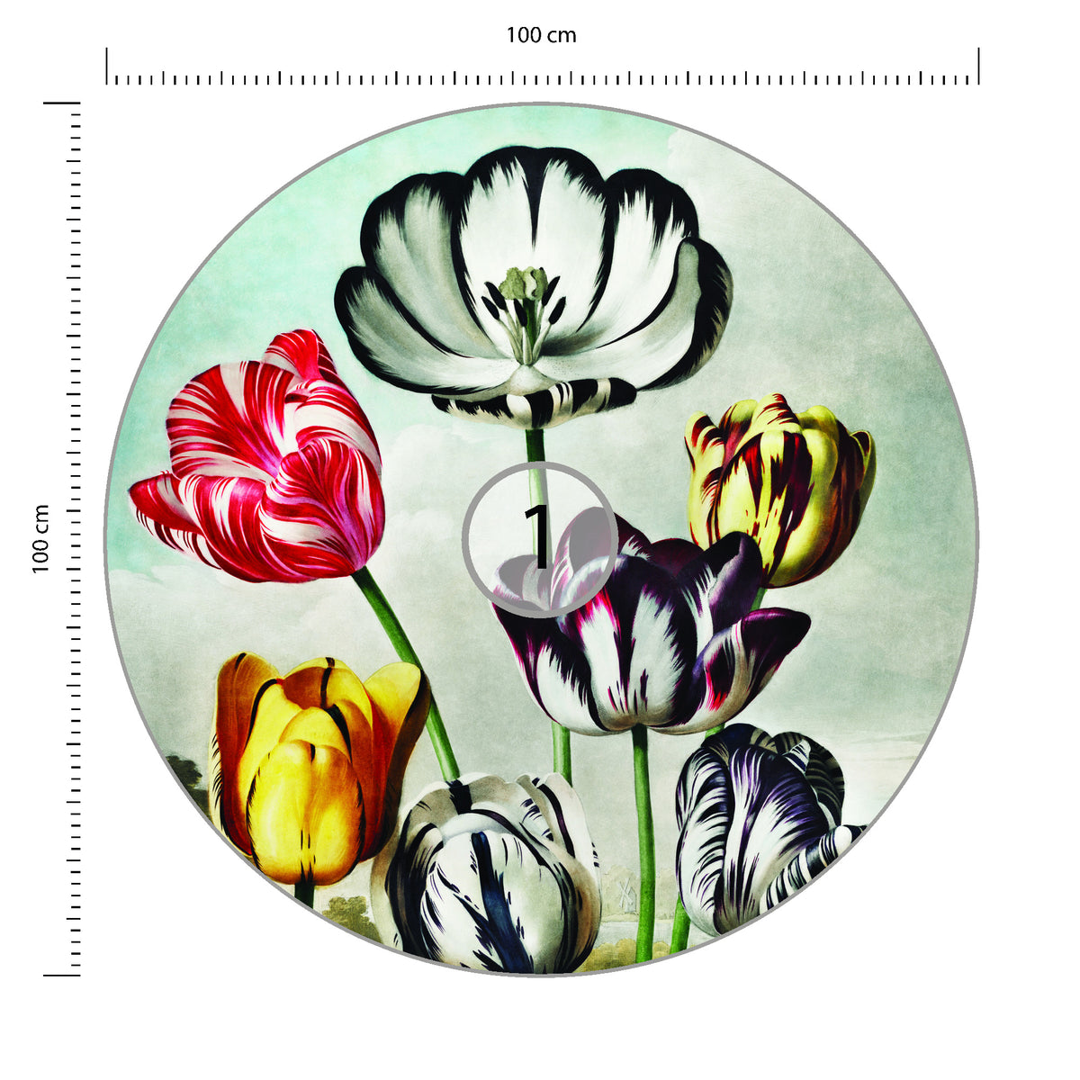 Fototapeta Okrągła Tulipany średnica 100 cm – podgląd
