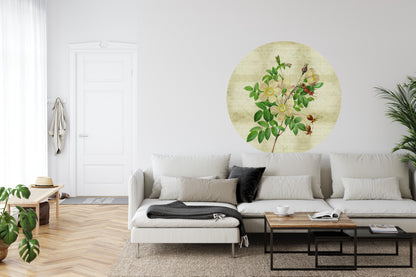 Fototapeta Okrągła Rycina Botaniczna W Stylu Vintage II – aranżacja wnętrza