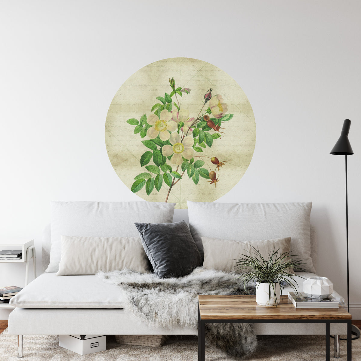 Fototapeta Okrągła Rycina Botaniczna W Stylu Vintage II – aranżacja wnętrza