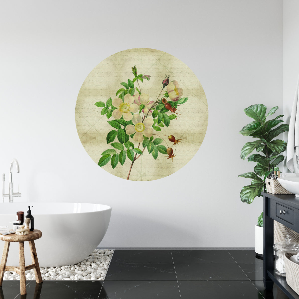 Fototapeta Okrągła Rycina Botaniczna W Stylu Vintage II – aranżacja wnętrza