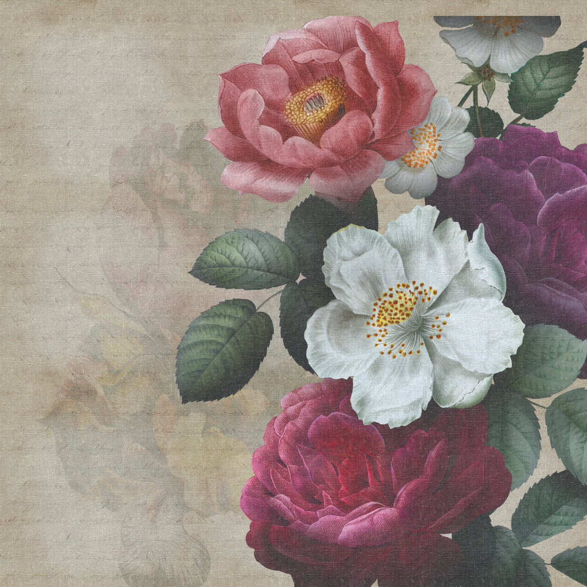 Fototapeta Okrągła Rycina Botaniczna W Stylu Vintage V – wzór