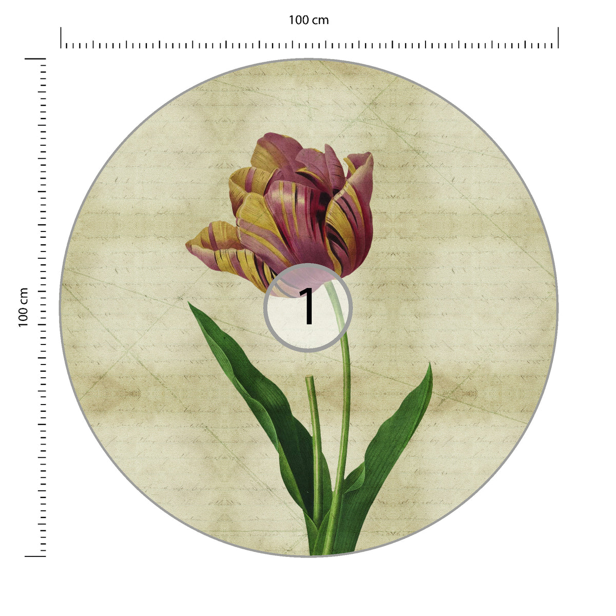 Fototapeta Okrągła Rycina Botaniczna W Stylu Vintage IV średnica 100 cm – podgląd