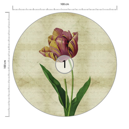 Fototapeta Okrągła Rycina Botaniczna W Stylu Vintage IV średnica 100 cm – podgląd
