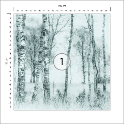 Fototapeta Kwadratowa Czarno-Biały Nel Talen 100 × 100 cm – podgląd