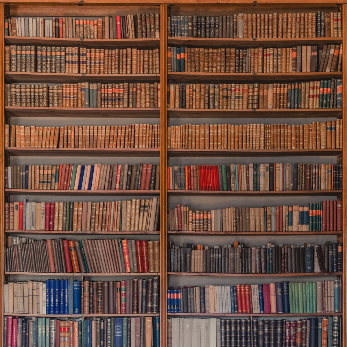 Fototapeta Kwadratowa Moja Biblioteka Autorstwa Mirosława – wzór