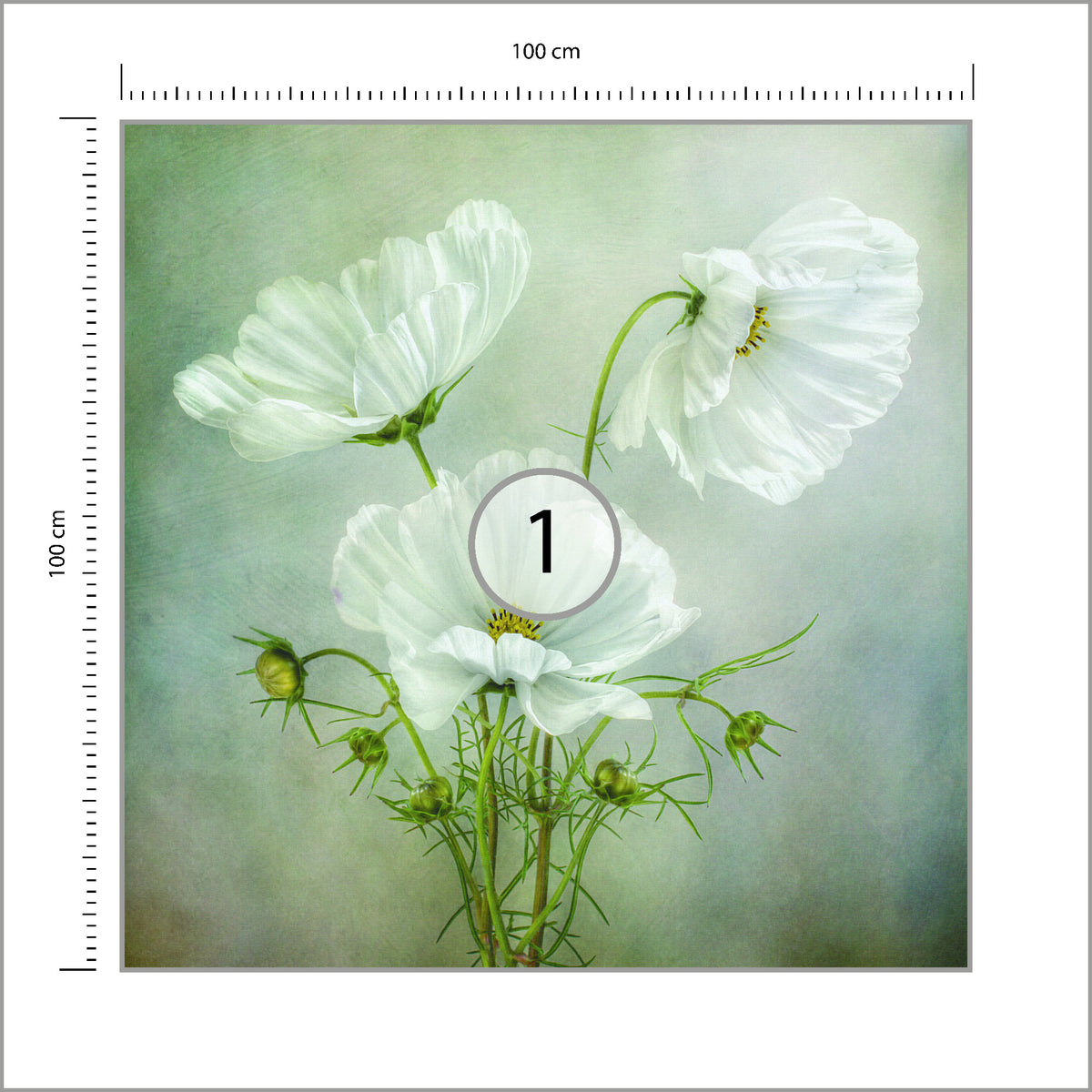 Fototapeta Kwadratowa Urok Kosmosu Autorstwa Mandy Disher 100 × 100 cm – podgląd