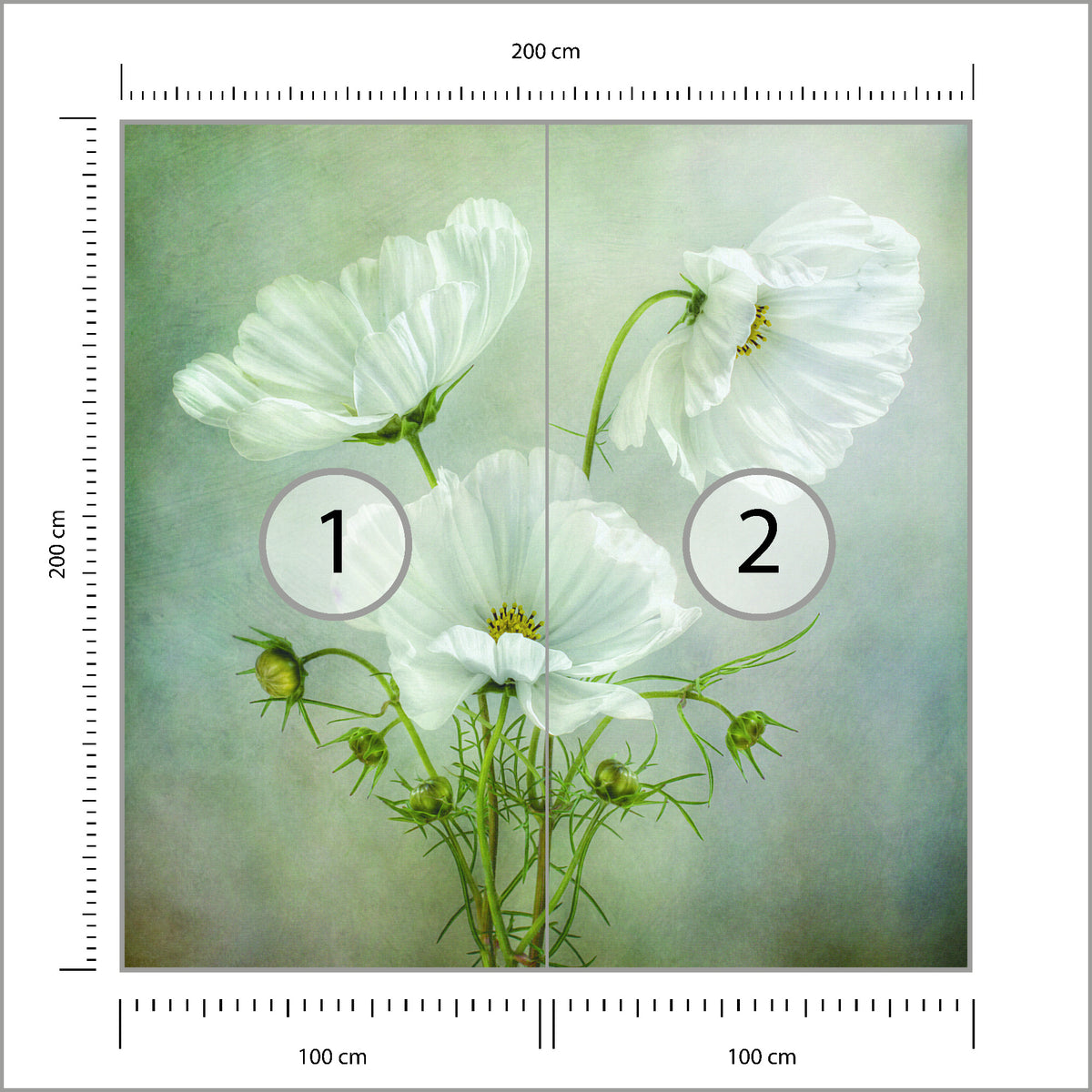 Fototapeta Kwadratowa Urok Kosmosu Autorstwa Mandy Disher 200 × 200 cm – podgląd