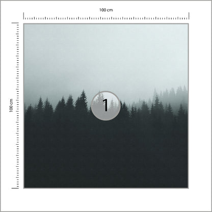 Fototapeta Kwadratowa Ombree Czarny Las 100 × 100 cm – podgląd