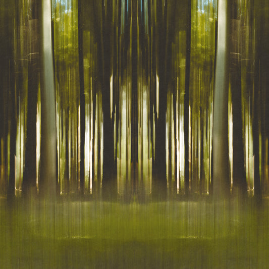 Fototapeta Kwadratowa Forestiel – wzór