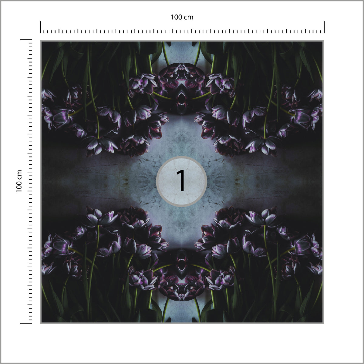 Fototapeta Kwadratowa Czarny Tulipan 100 × 100 cm – podgląd