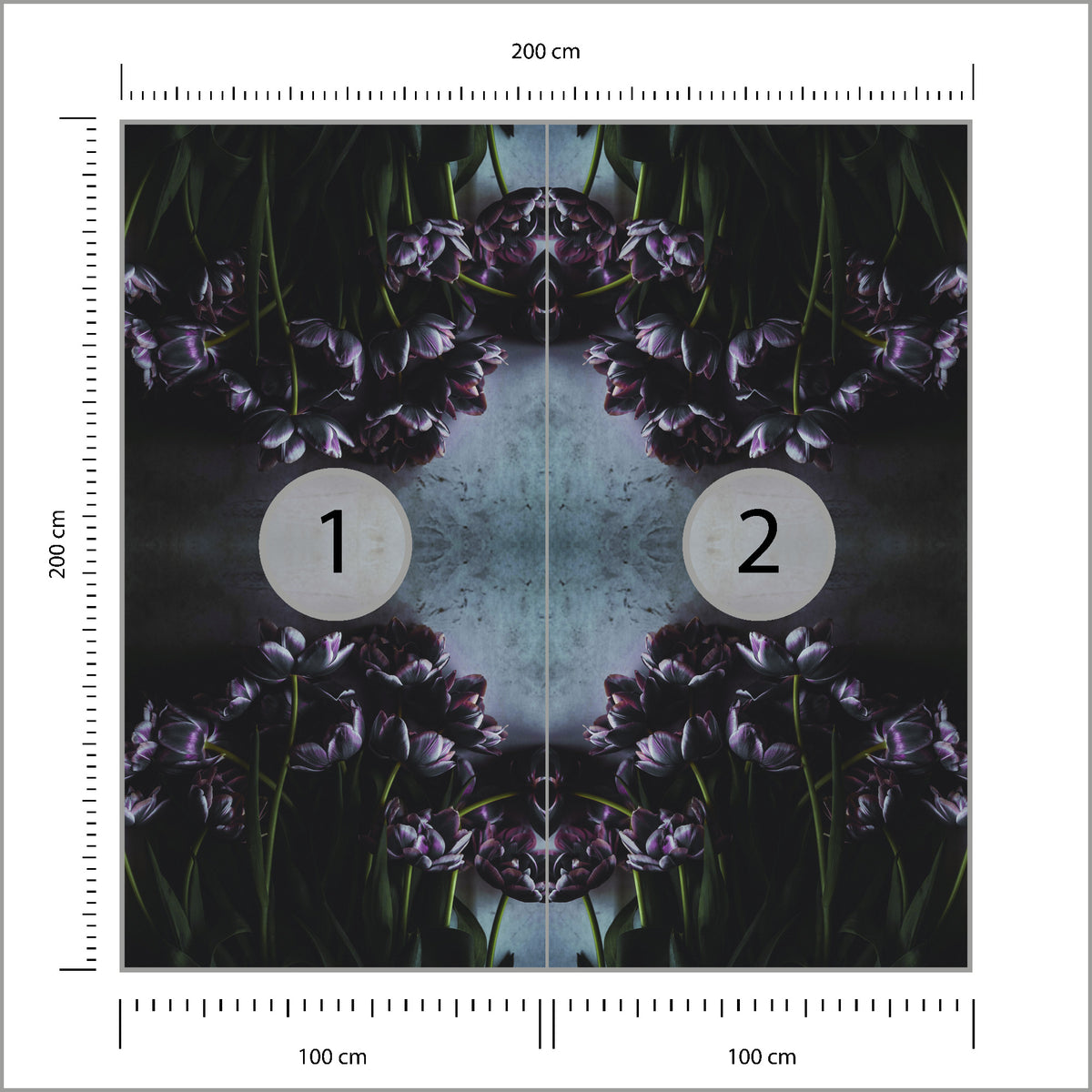 Fototapeta Kwadratowa Czarny Tulipan 200 × 200 cm – podgląd