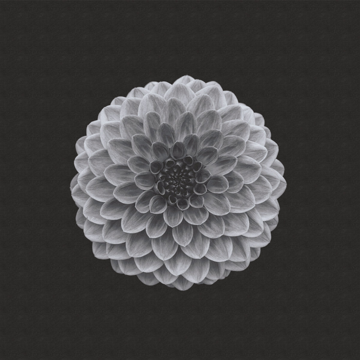 Fototapeta Kwadratowa Symetria – wzór