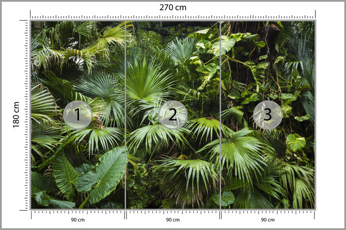 Fototapeta Piękne Liście Palmowe W Tropikalnej Dżungli 270 × 180 cm – podgląd