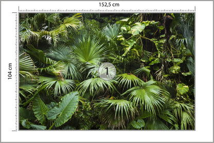 Fototapeta Piękne Liście Palmowe W Tropikalnej Dżungli 152,5 × 104 cm – podgląd