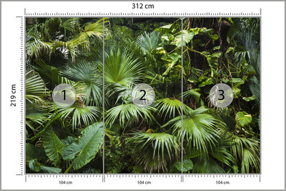 Fototapeta Piękne Liście Palmowe W Tropikalnej Dżungli 312 × 219 cm – podgląd