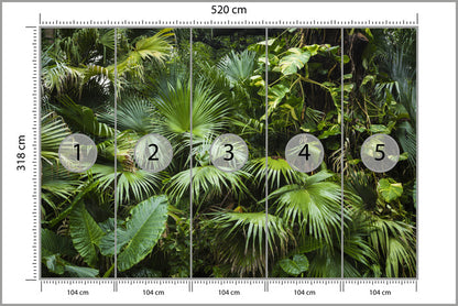 Fototapeta Piękne Liście Palmowe W Tropikalnej Dżungli 520 × 318 cm – podgląd