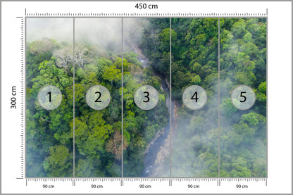 Fototapeta Las We Mgle Z Lotu Ptaka Z Drogą 450 × 300 cm – podgląd kadru