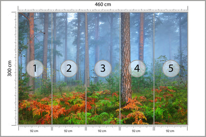Fototapeta Las We Mgle Z Rudymi Paprociami 460 × 300 cm – podgląd kadru