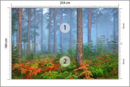 Fototapeta Las We Mgle Z Rudymi Paprociami 254 × 184 cm – podgląd kadru