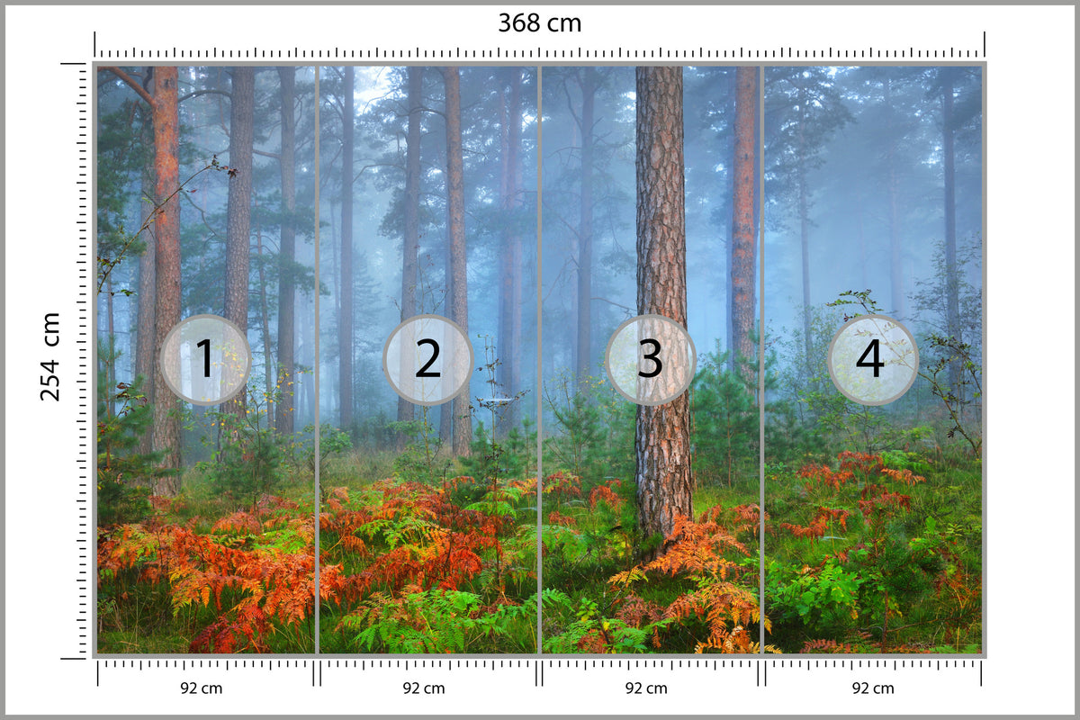 Fototapeta Las We Mgle Z Rudymi Paprociami 368 × 254 cm – podgląd kadru