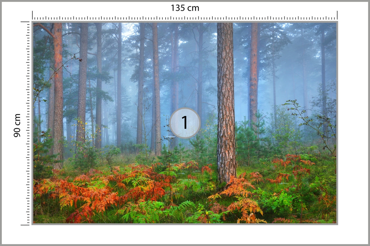 Fototapeta Las We Mgle Z Rudymi Paprociami 135 × 90 cm – podgląd kadru