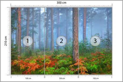 Fototapeta Las We Mgle Z Rudymi Paprociami 300 × 210 cm – podgląd kadru