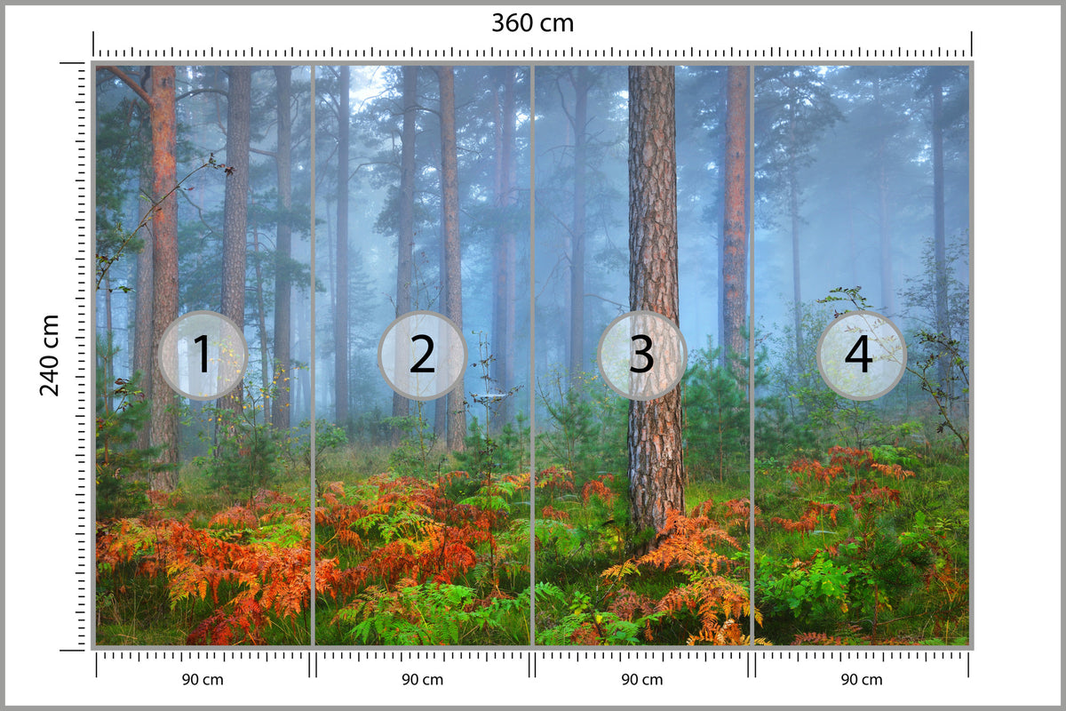 Fototapeta Las We Mgle Z Rudymi Paprociami 360 × 240 cm – podgląd kadru