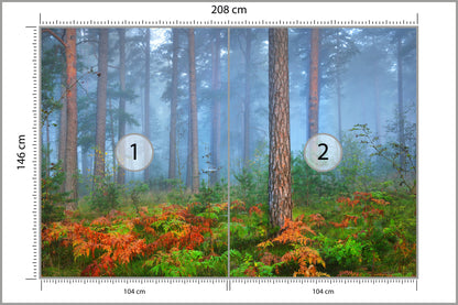 Fototapeta Las We Mgle Z Rudymi Paprociami 208 × 146 cm – podgląd kadru