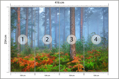 Fototapeta Las We Mgle Z Rudymi Paprociami 416 × 254 cm – podgląd kadru