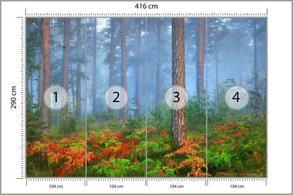 Fototapeta Las We Mgle Z Rudymi Paprociami 416 × 290 cm – podgląd kadru