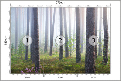 Fototapeta Las We Mgle Smukłe Sosny 270 × 180 cm – podgląd kadru