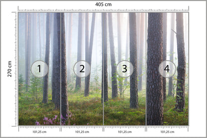 Fototapeta Las We Mgle Smukłe Sosny 405 × 270 cm – podgląd kadru