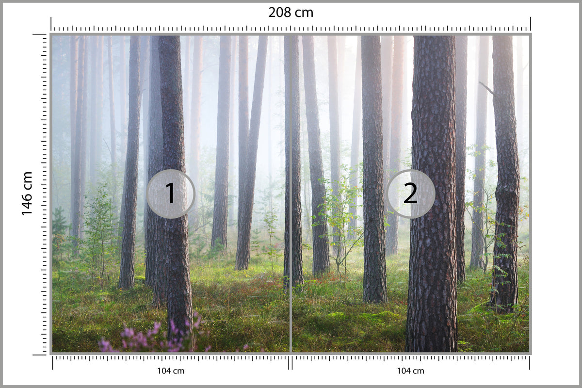 Fototapeta Las We Mgle Smukłe Sosny 208 × 146 cm – podgląd kadru