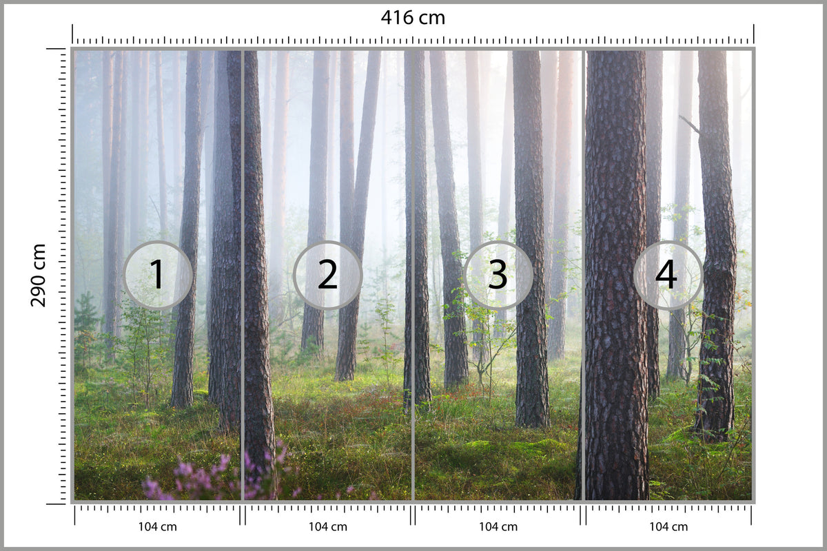 Fototapeta Las We Mgle Smukłe Sosny 416 × 290 cm – podgląd kadru