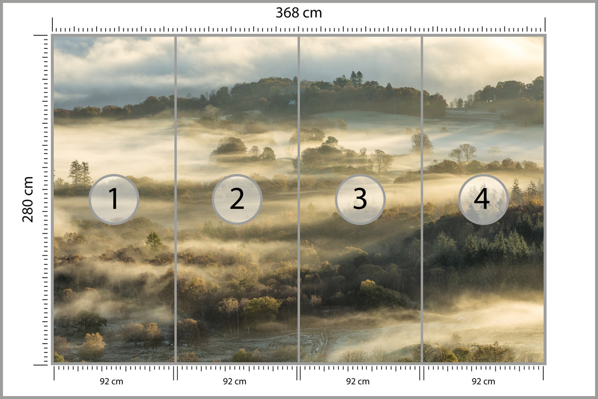 Fototapeta Las We Mgle Na Rozległej Równinie 368 × 280 cm – podgląd kadru