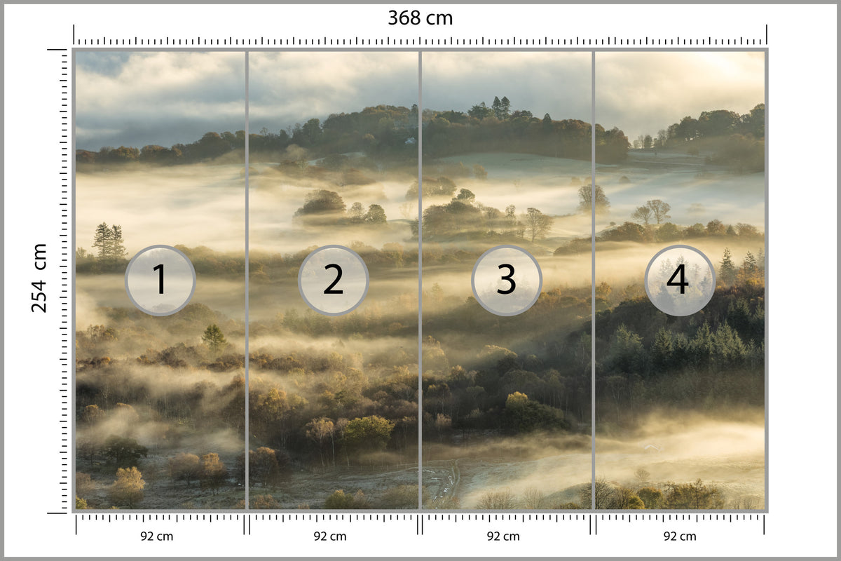 Fototapeta Las We Mgle Na Rozległej Równinie 368 × 254 cm – podgląd kadru