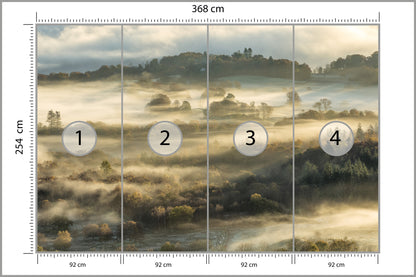 Fototapeta Las We Mgle Na Rozległej Równinie 368 × 254 cm – podgląd kadru