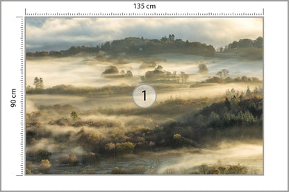 Fototapeta Las We Mgle Na Rozległej Równinie 135 × 90 cm – podgląd kadru