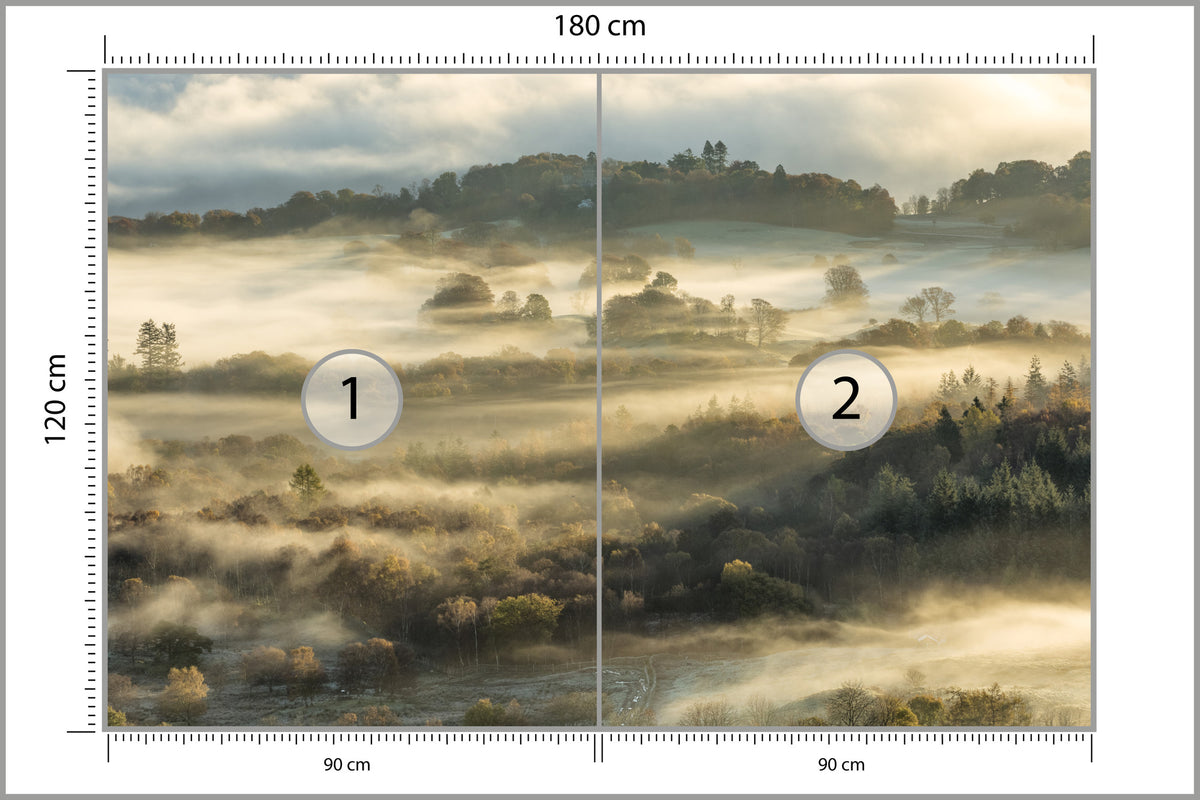 Fototapeta Las We Mgle Na Rozległej Równinie 180 × 120 cm – podgląd kadru