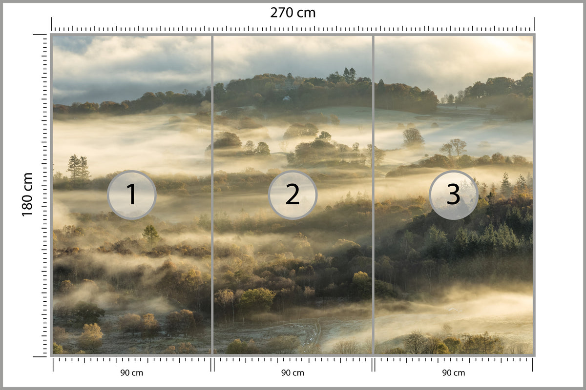 Fototapeta Las We Mgle Na Rozległej Równinie 270 × 180 cm – podgląd kadru