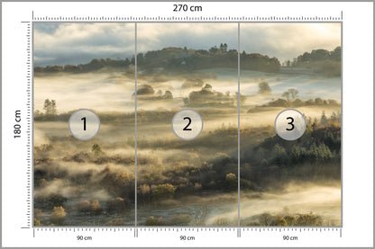 Fototapeta Las We Mgle Na Rozległej Równinie 270 × 180 cm – podgląd kadru