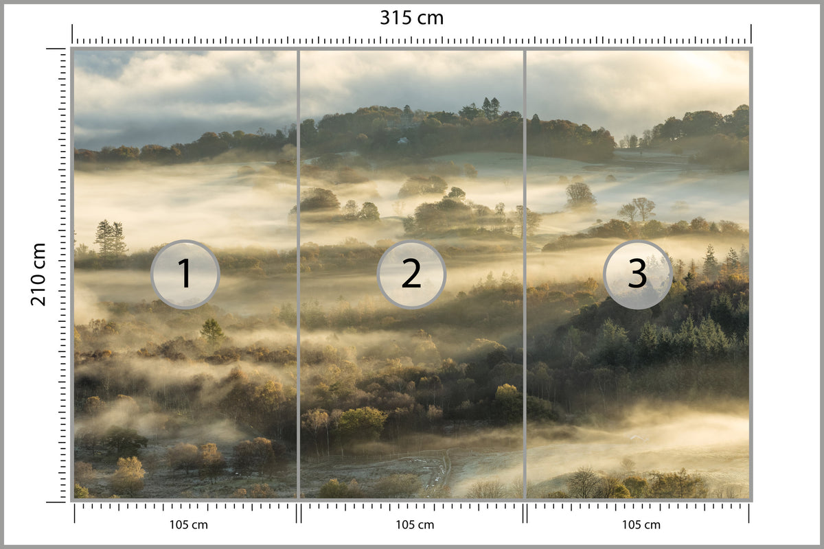 Fototapeta Las We Mgle Na Rozległej Równinie 315 × 210 cm – podgląd kadru