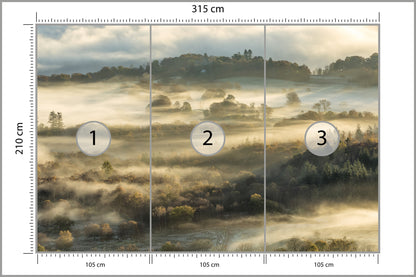 Fototapeta Las We Mgle Na Rozległej Równinie 315 × 210 cm – podgląd kadru