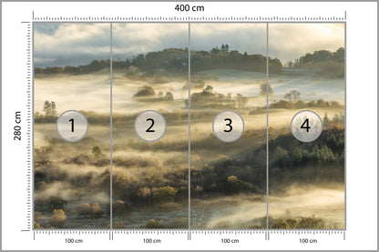 Fototapeta Las We Mgle Na Rozległej Równinie 400 × 280 cm – podgląd kadru